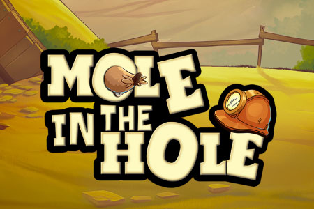 Mole In The Hole