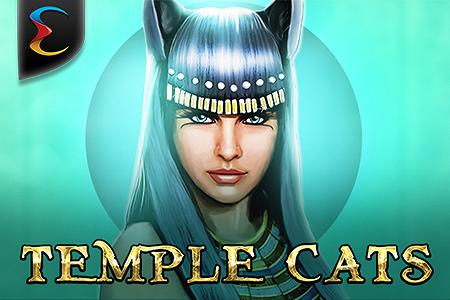 Temple Cats